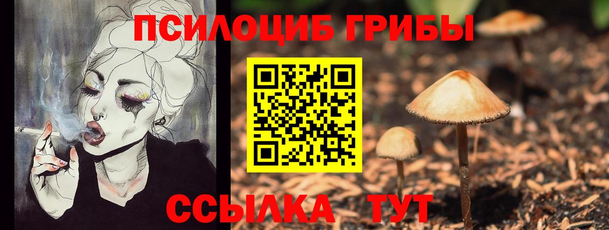 Отрадное  Псилоцибиновые грибы Magic Shrooms  Вход с VPN  что такое наркотик  Галлюциногенные грибы GOLDEN TEACHER 