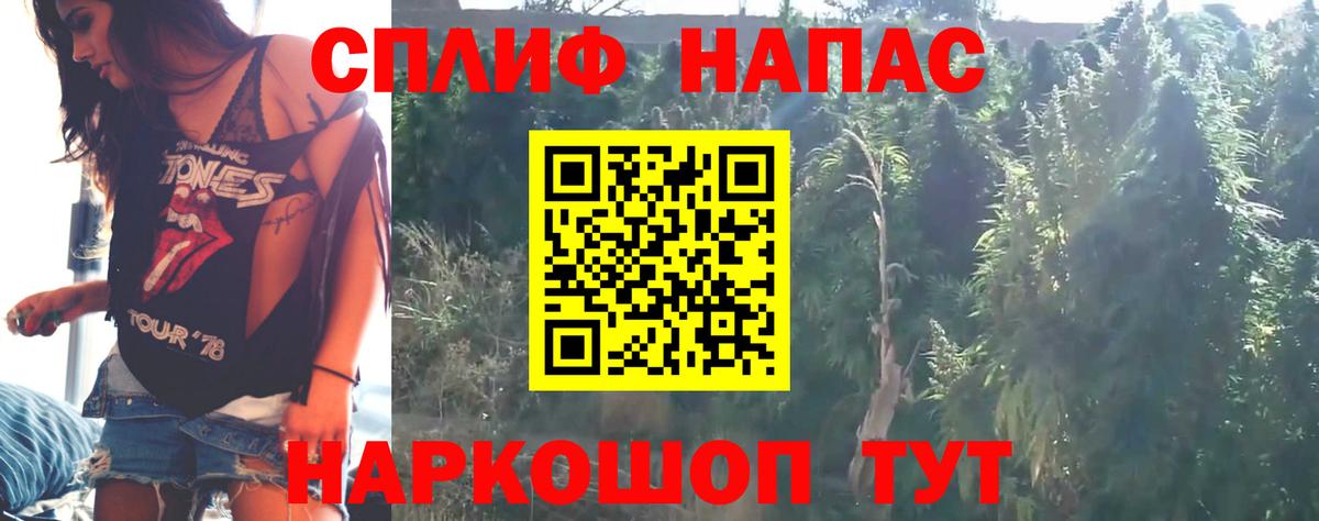 Конопля SATIVA & INDICA  Бошки Шишки тримм  Бошки Шишки ГИДРОПОН  Отрадное  Вход с VPN 